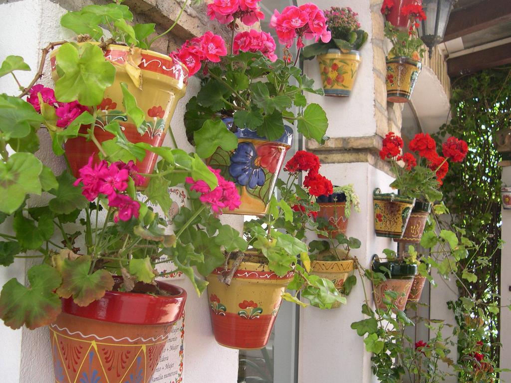 Hotel Cortijo Los Gallos Чиклана-де-ла-Фронтера Экстерьер фото