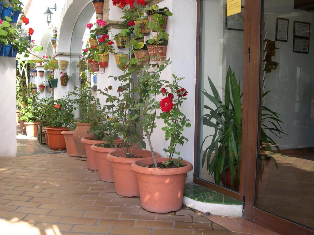 Hotel Cortijo Los Gallos Чиклана-де-ла-Фронтера Экстерьер фото