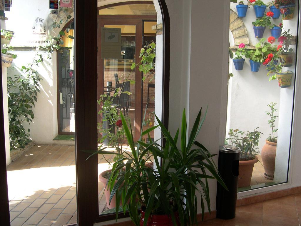 Hotel Cortijo Los Gallos Чиклана-де-ла-Фронтера Экстерьер фото